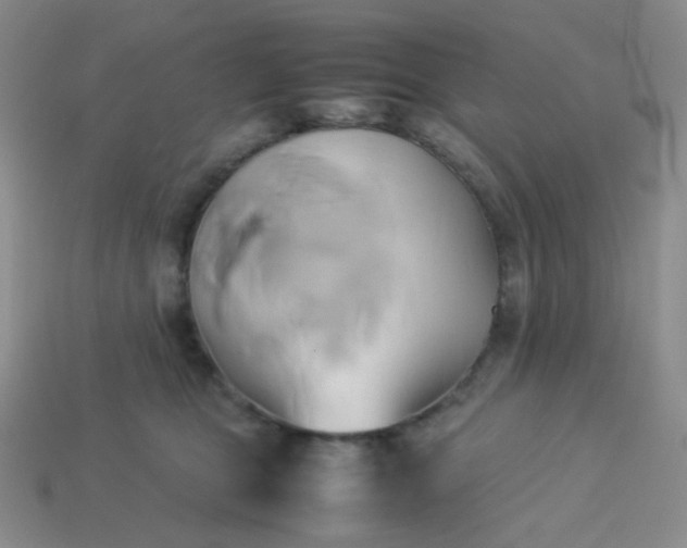 X0000114150469200910221550