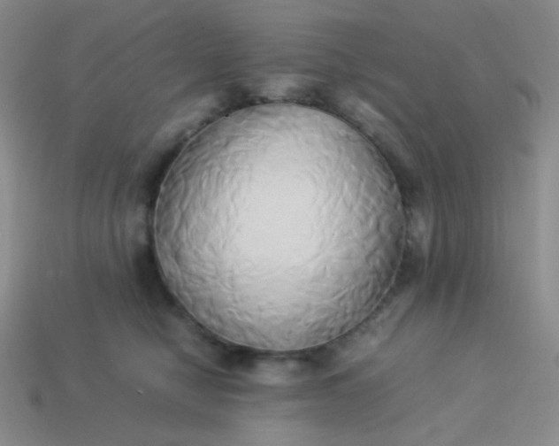 X0000114150470200910221550