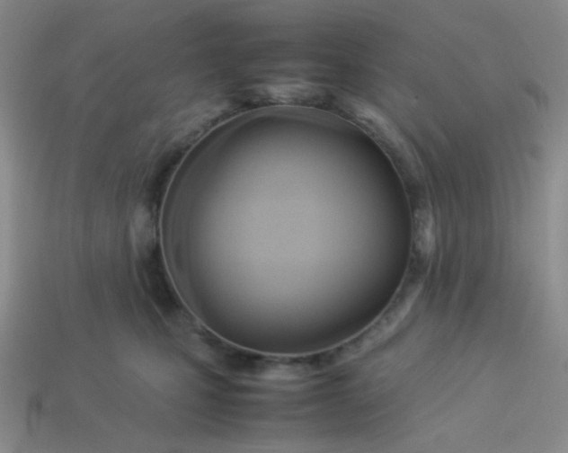 X0000114150471200910221550