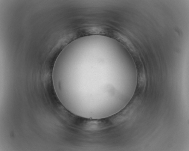 X0000114150473200910221550