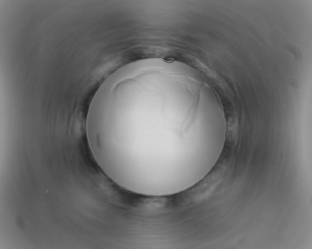 X0000114150474200910221550