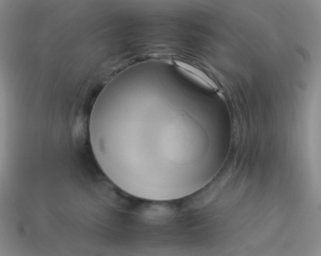 X0000114150475200910221550