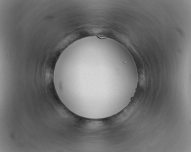 X0000114150476200910221550