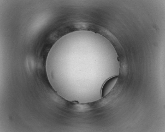 X0000114150477200910221550