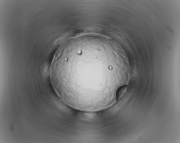 X0000114150478200910221550