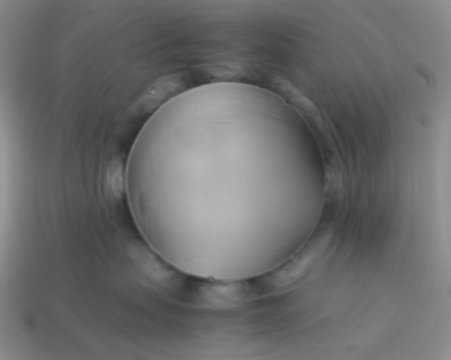 X0000114150479200910221550