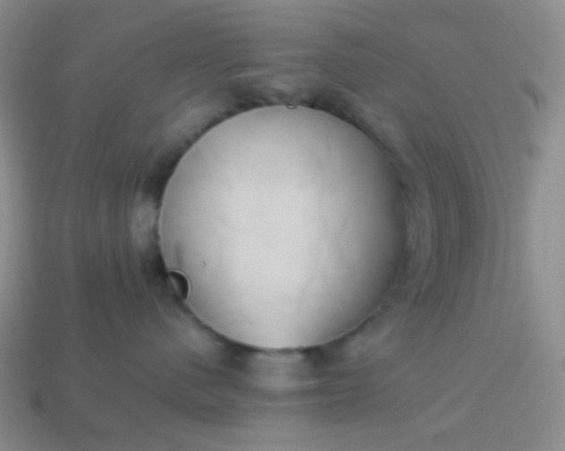 X0000114150480200910221550