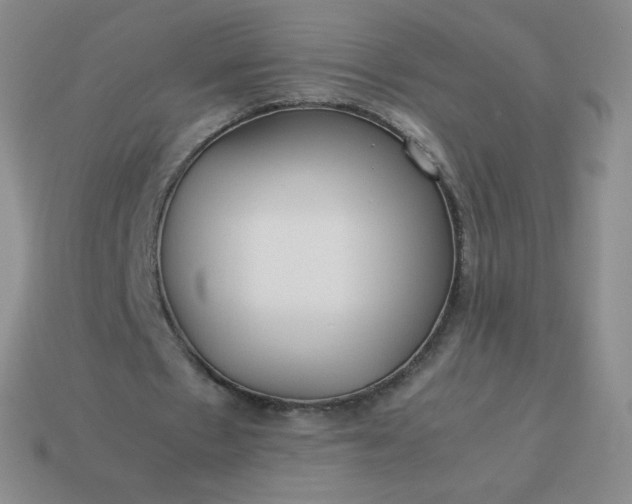 X0000114150481200910221550