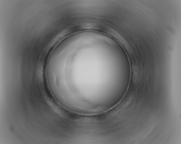 X0000114150482200910221550