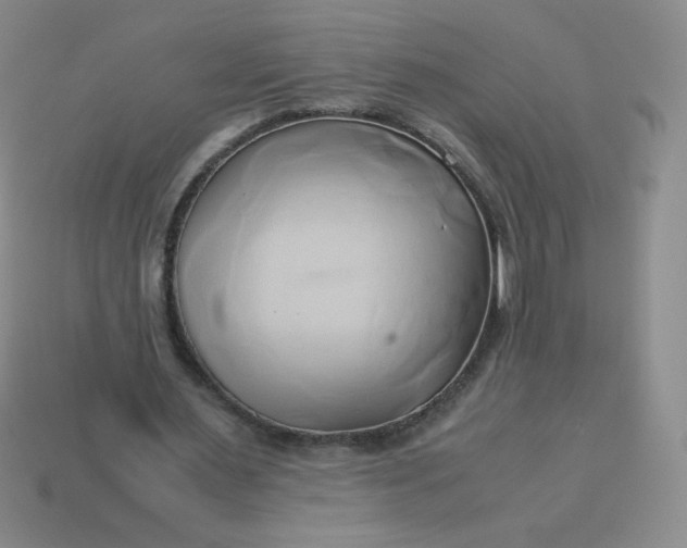 X0000114150483200910221550