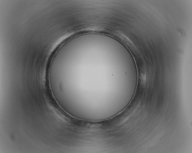 X0000114150484200910221550