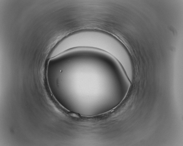 X0000114150485200910221550