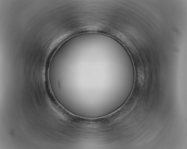 X0000114150486200910221550