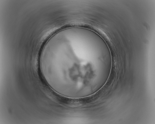 X0000114150487200910221550