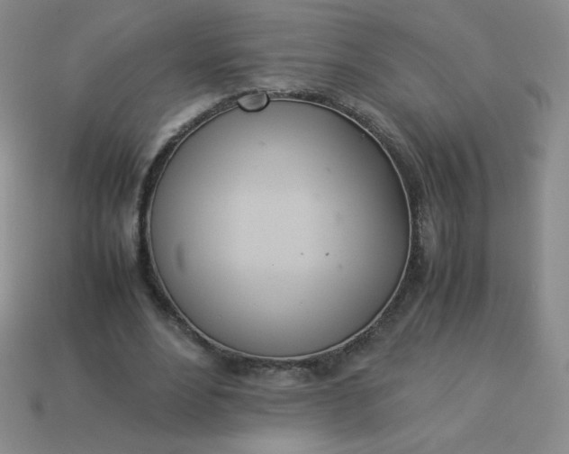 X0000114150488200910221550