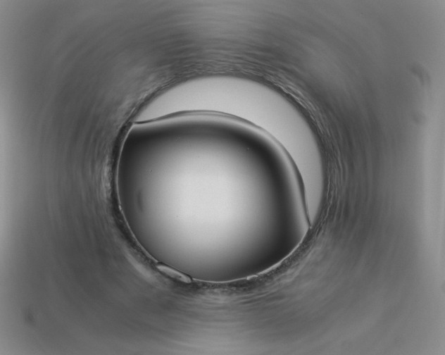 X0000114150489200910221550