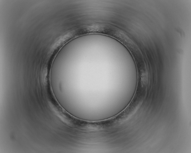 X0000114150490200910221550