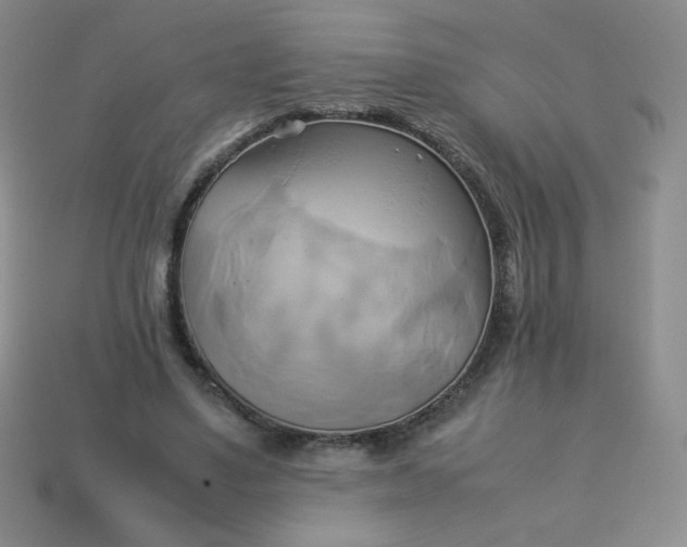 X0000114150491200910221550