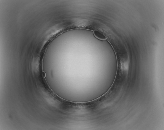 X0000114150492200910221550