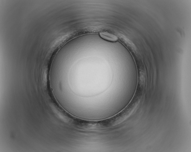 X0000114150493200910221549