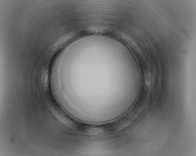 X0000114150494200910221549