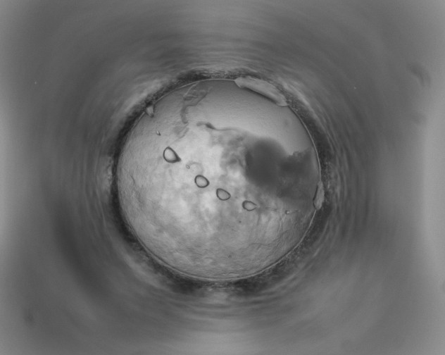 X0000114150495200910221549