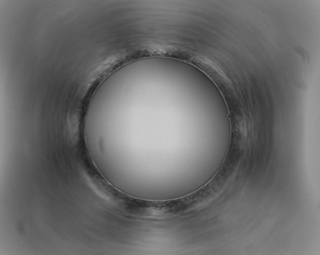 X0000114150496200910221549