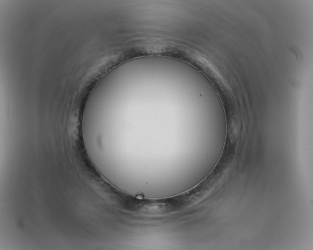 X0000114150497200910221549