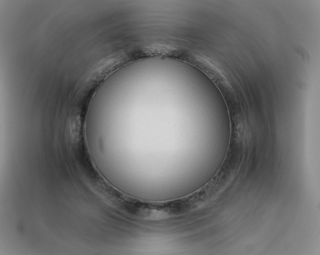 X0000114150498200910221549