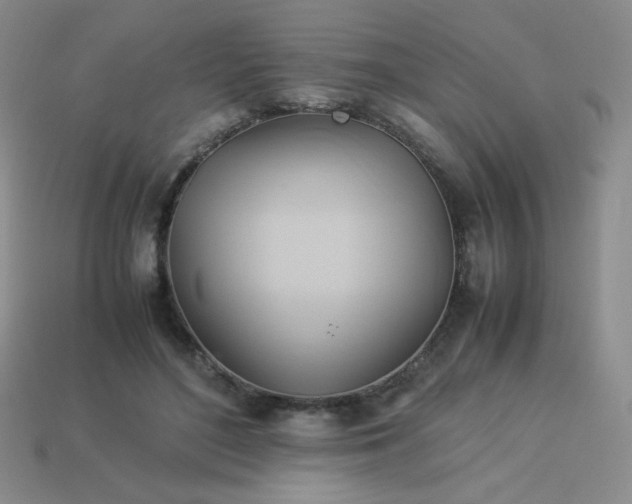 X0000114150500200910221549