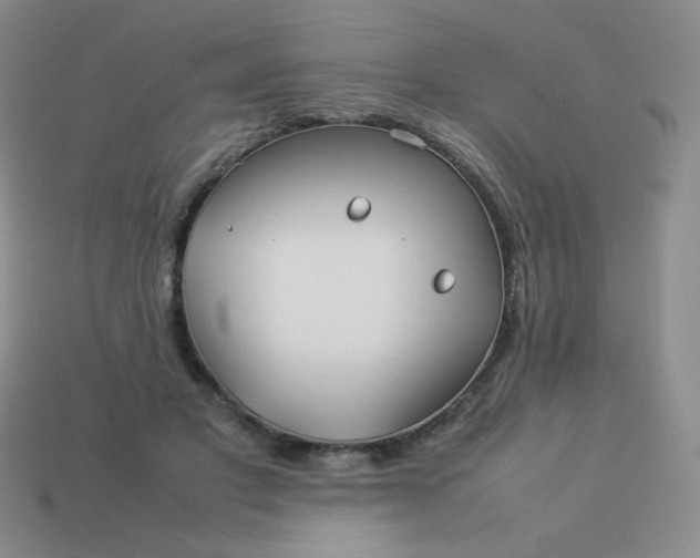 X0000114150501200910221549