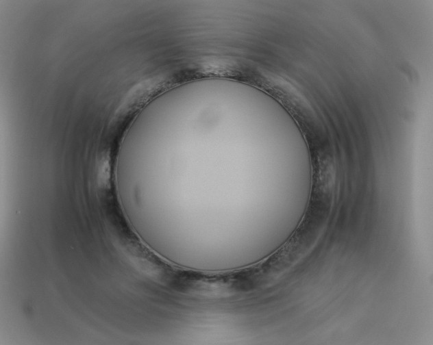 X0000114150502200910221549