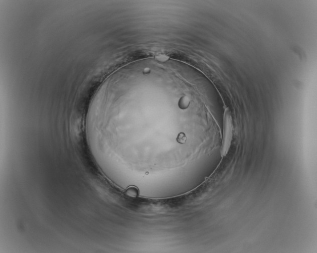 X0000114150503200910221549