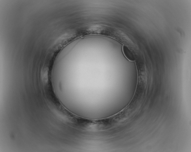 X0000114150504200910221549