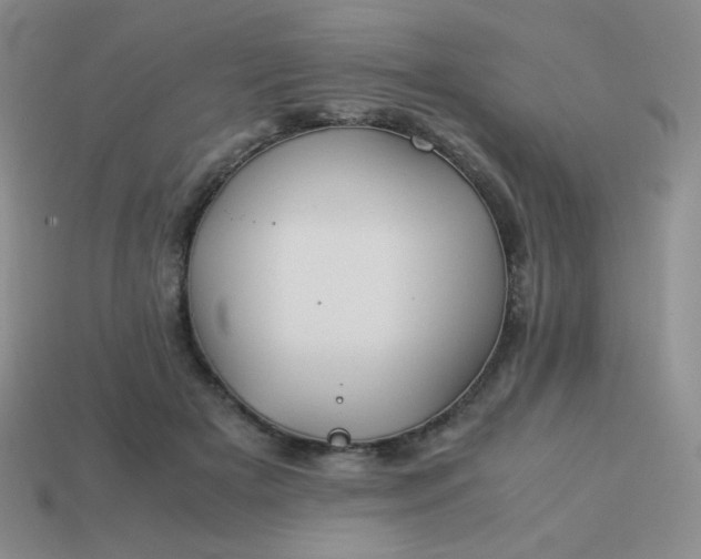 X0000114150505200910221549