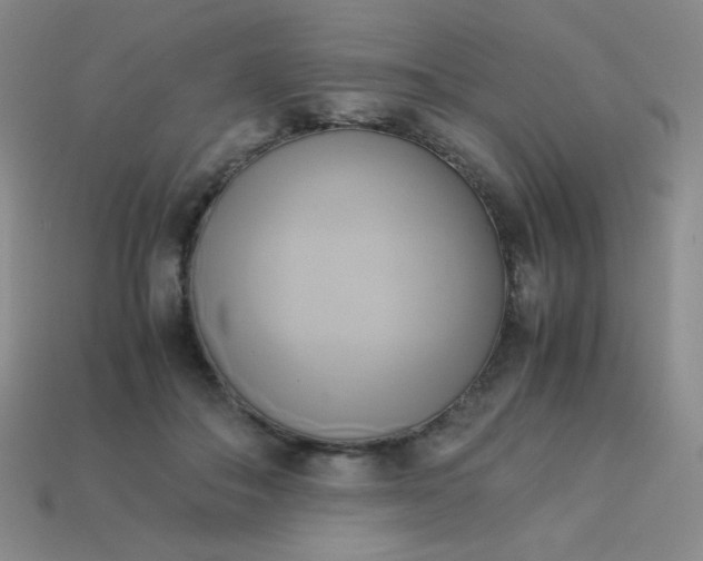 X0000114150506200910221549