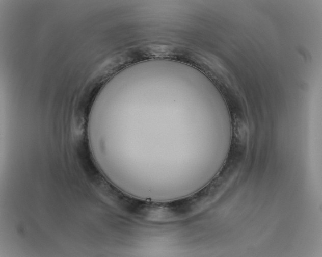 X0000114150507200910221549