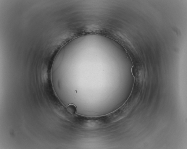 X0000114150508200910221549