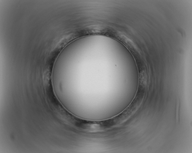 X0000114150509200910221549