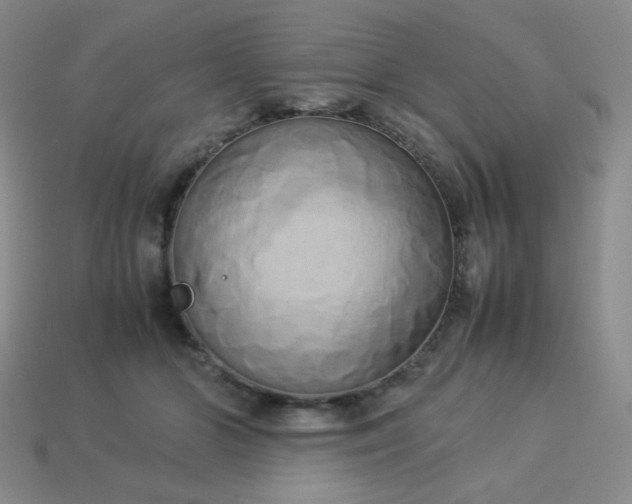 X0000114150510200910221549