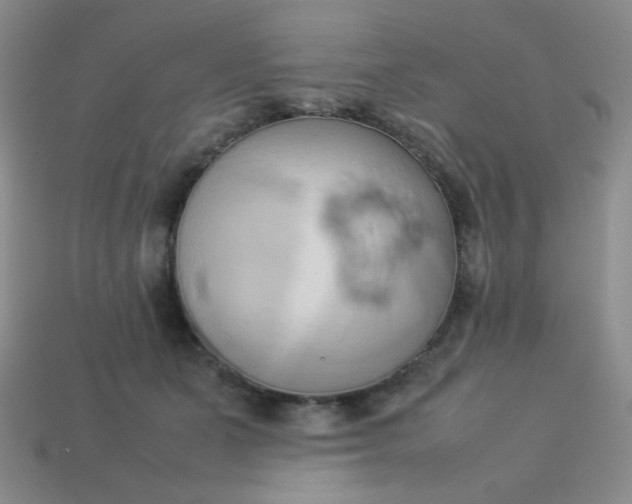 X0000114150511200910221549