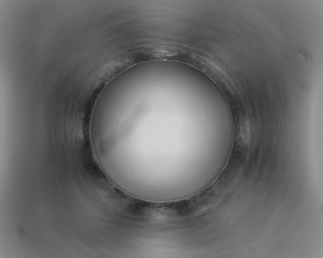 X0000114150512200910221549