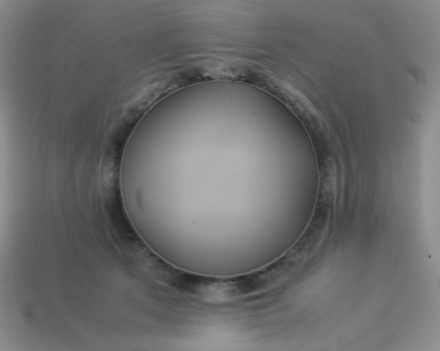 X0000114150513200910221549