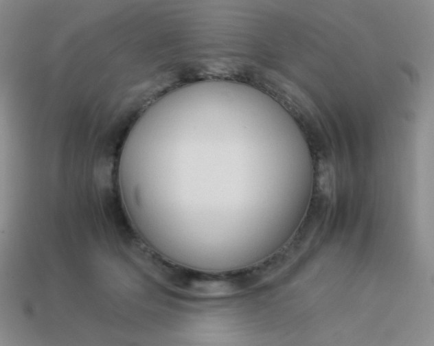 X0000114150514200910221549