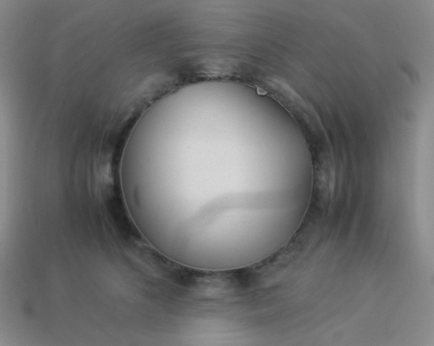 X0000114150516200910221549