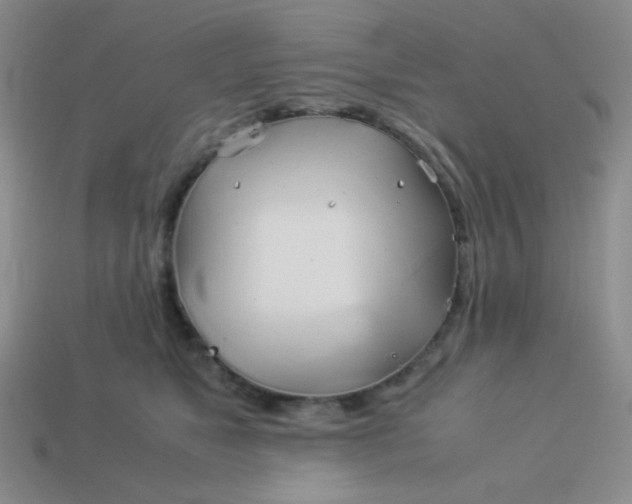 X0000114150517200910221549