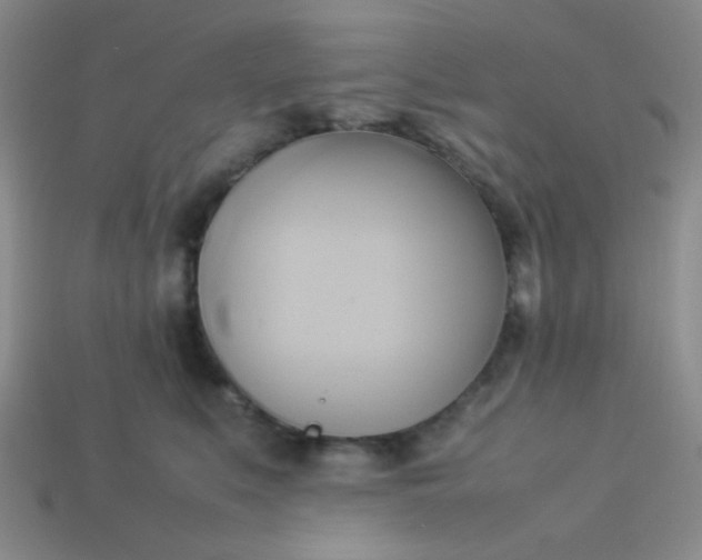 X0000114150519200910221549