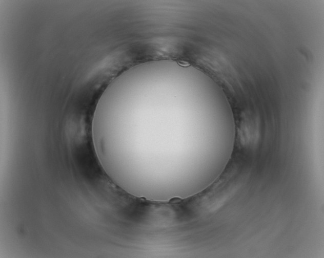 X0000114150520200910221549