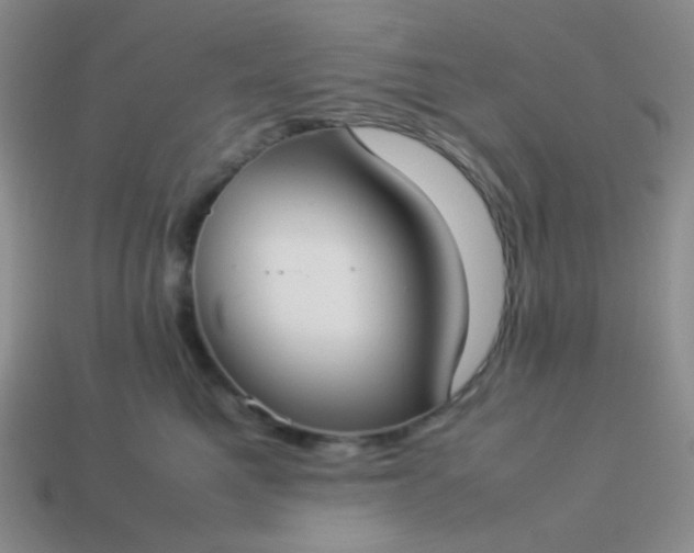 X0000114150521200910221549