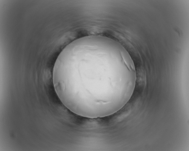 X0000114150523200910221549